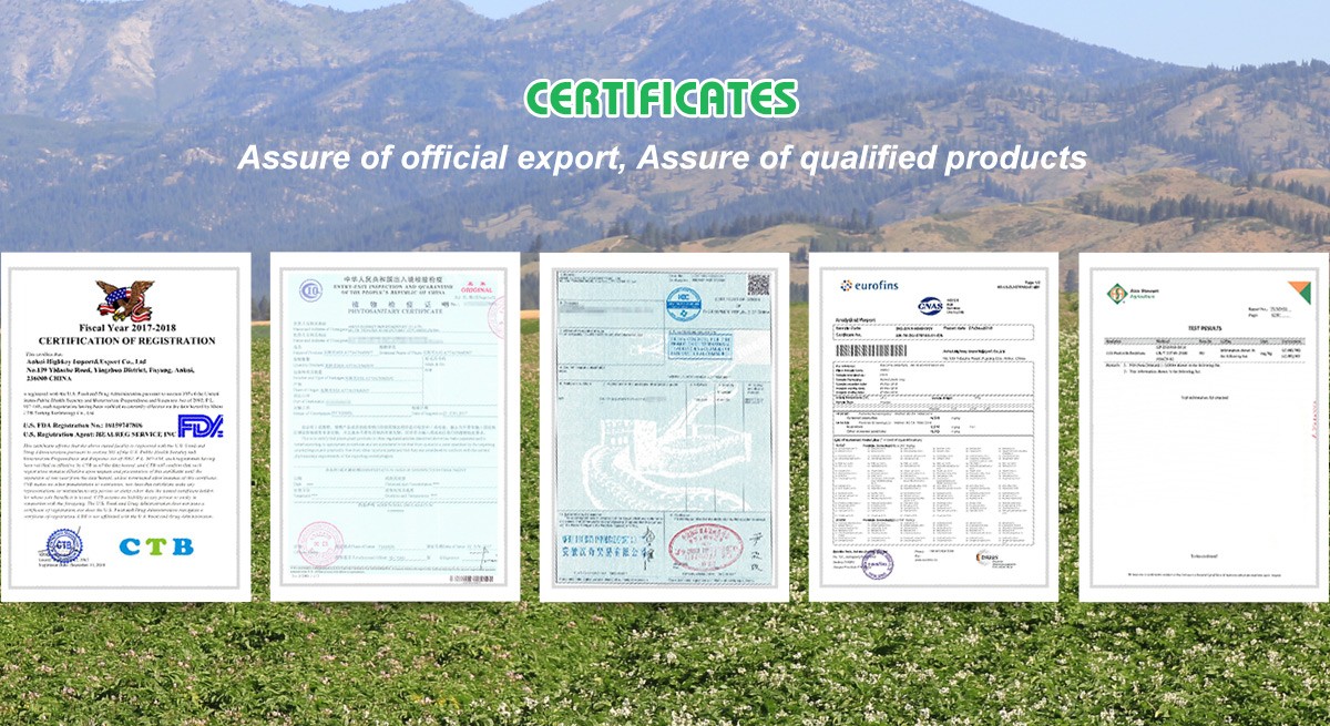certificate.jpg