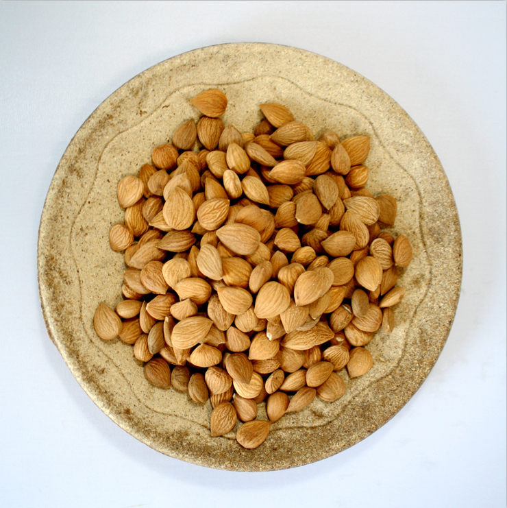 2034 almond (6).png
