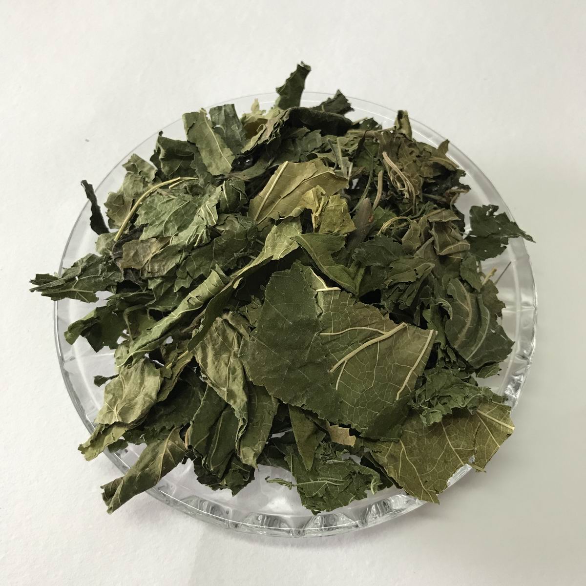 调整大小 5001 Mulberry leaf (7).JPG
