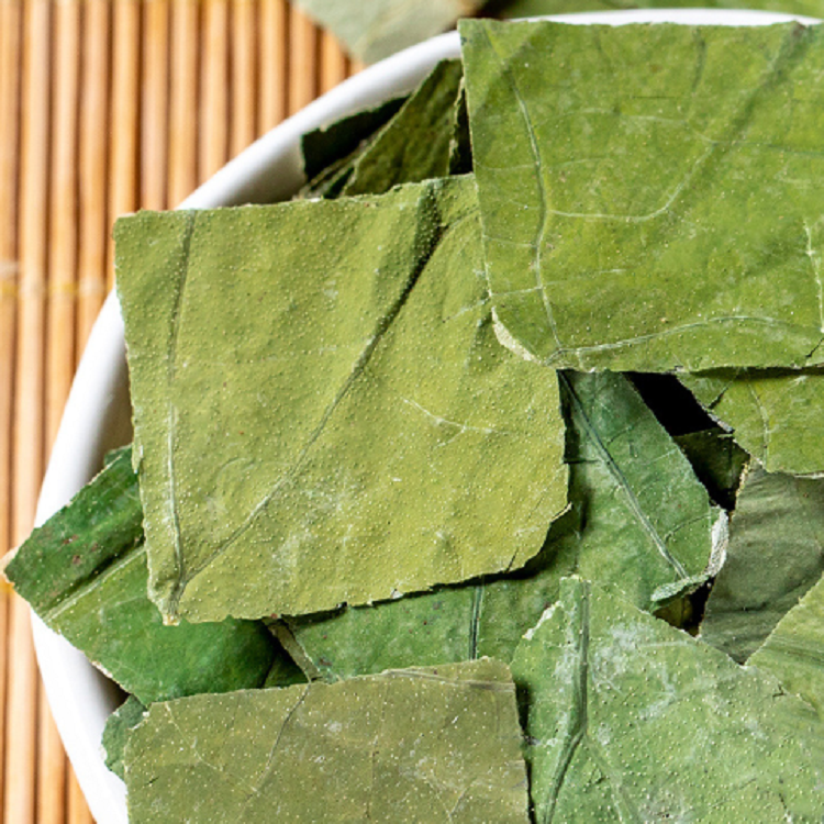 5013 Lotus leaf (3).jpg