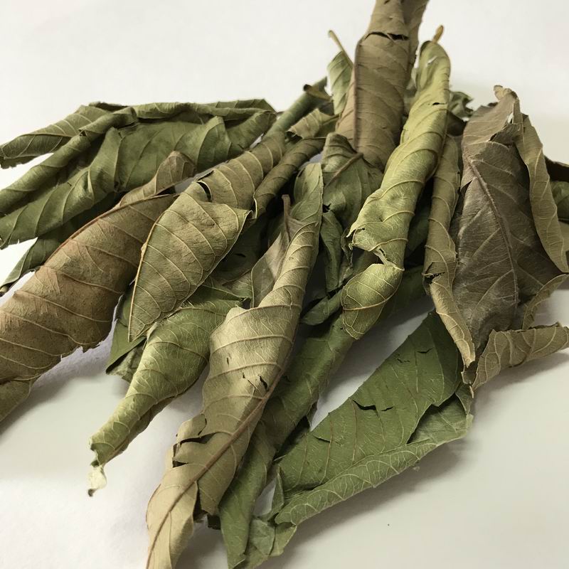 调整大小 5014 Guava Leaf Tea (3).JPG