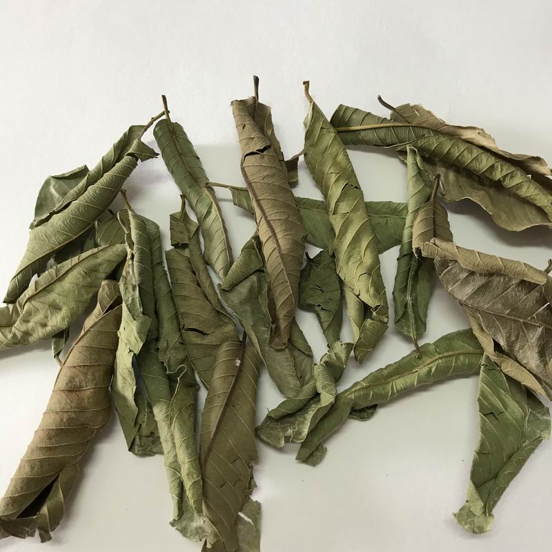 调整大小 5014 Guava Leaf Tea (4).JPG