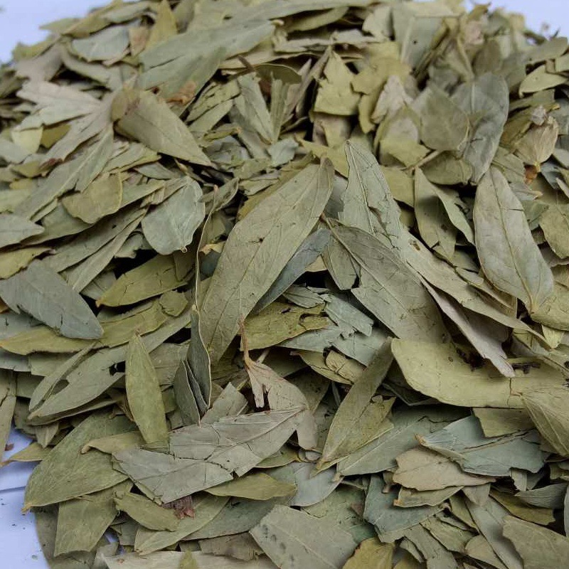 5026 senna tea (4).jpg
