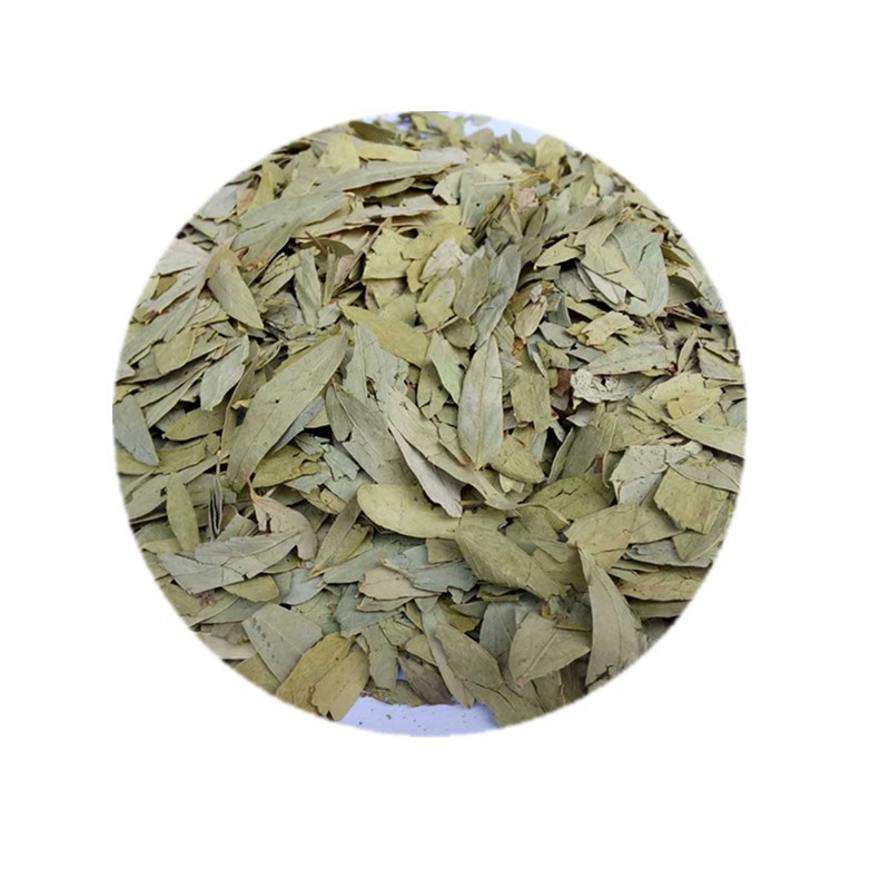 5026 senna tea (2).jpg