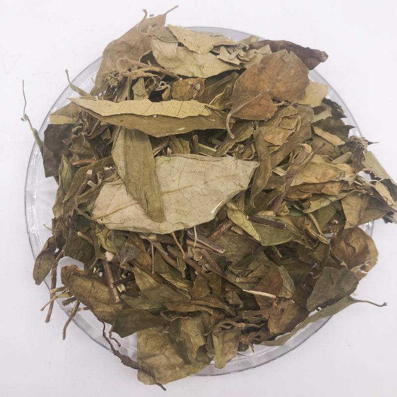 调整大小 7001 Gymnema Sylvestre (7).jpg