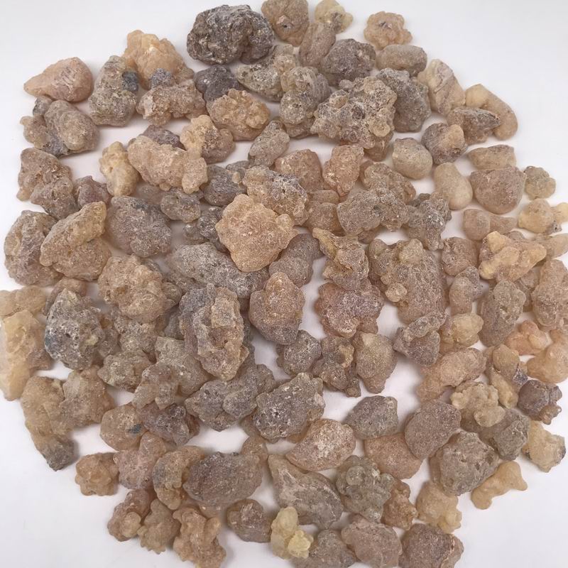调整大小 8002 Frankincense (4).JPG