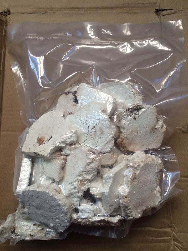 调整大小 vacumn package of Fushen.jpg