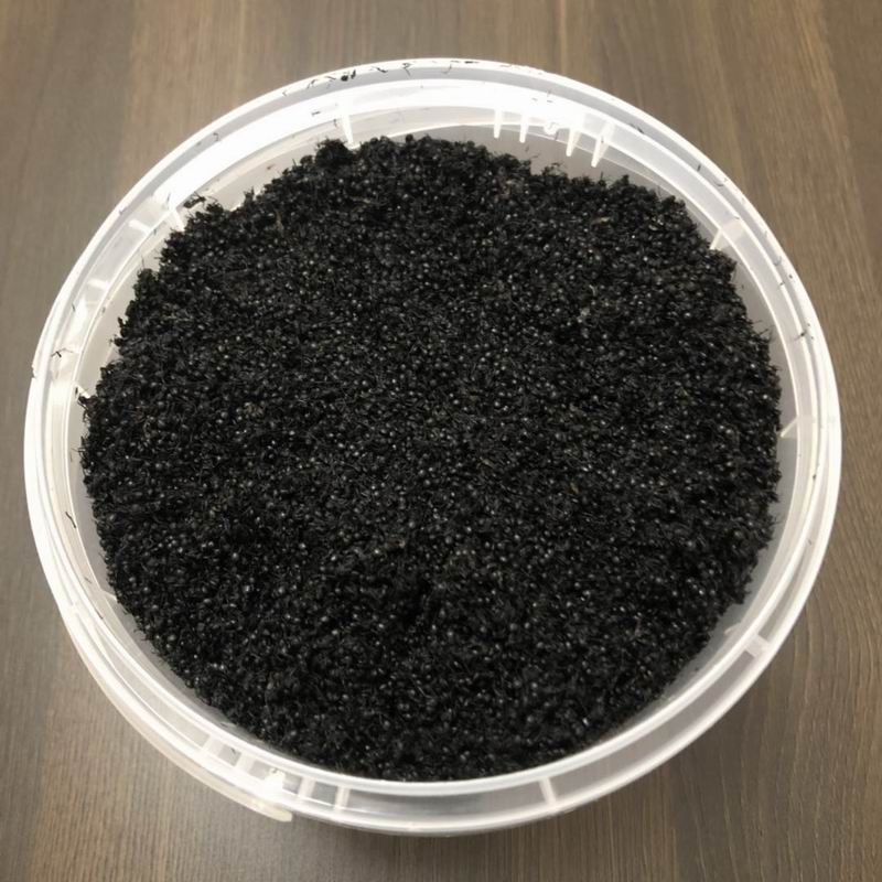 调整大小 10002 Black ant (6).jpg