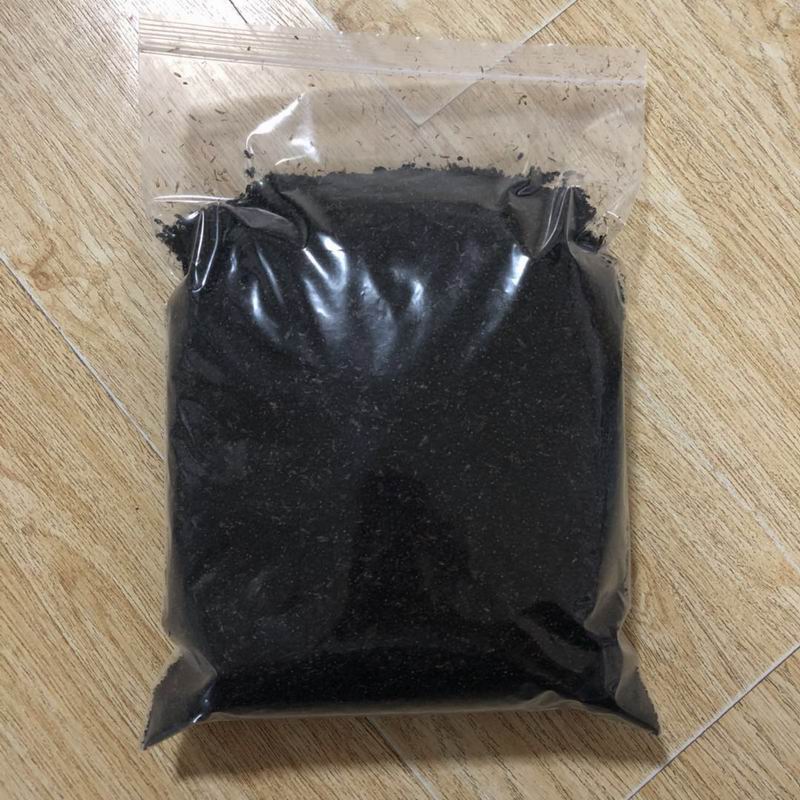 调整大小 10002 Black ant (5).jpg