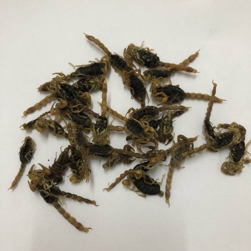 调整大小 微信图片_20180919160716.jpg