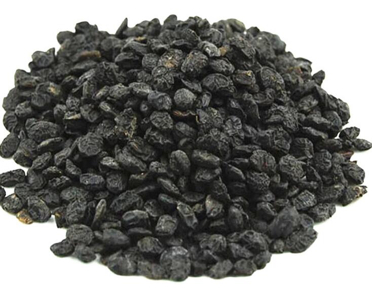 12005 Semen Sojae Praeparatum (1).jpg