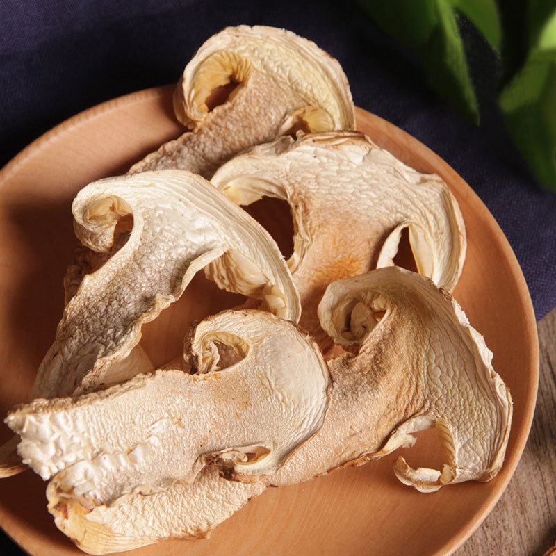 12008 Tricholoma matsutake (28).jpg