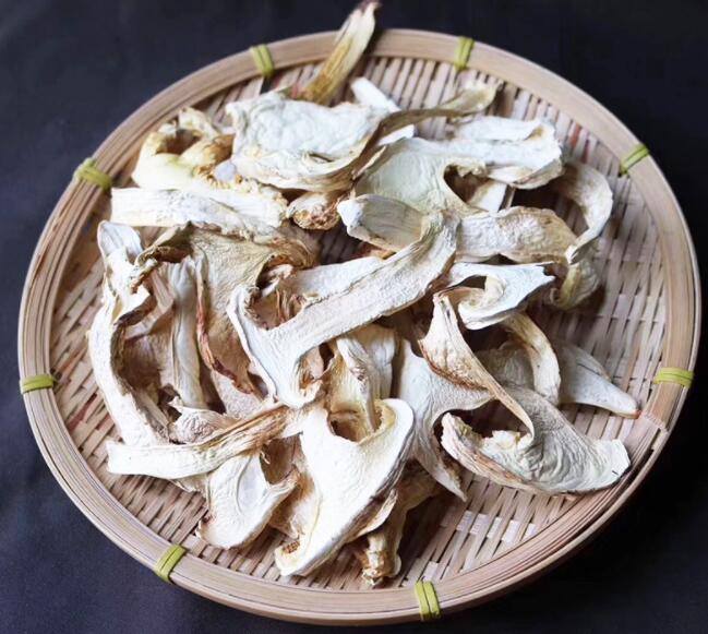 Dry Tricholoma matsutake (6).jpg