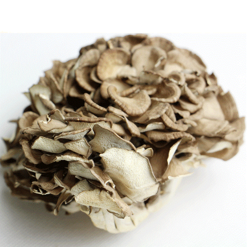 Grifola frondosa (1).gif