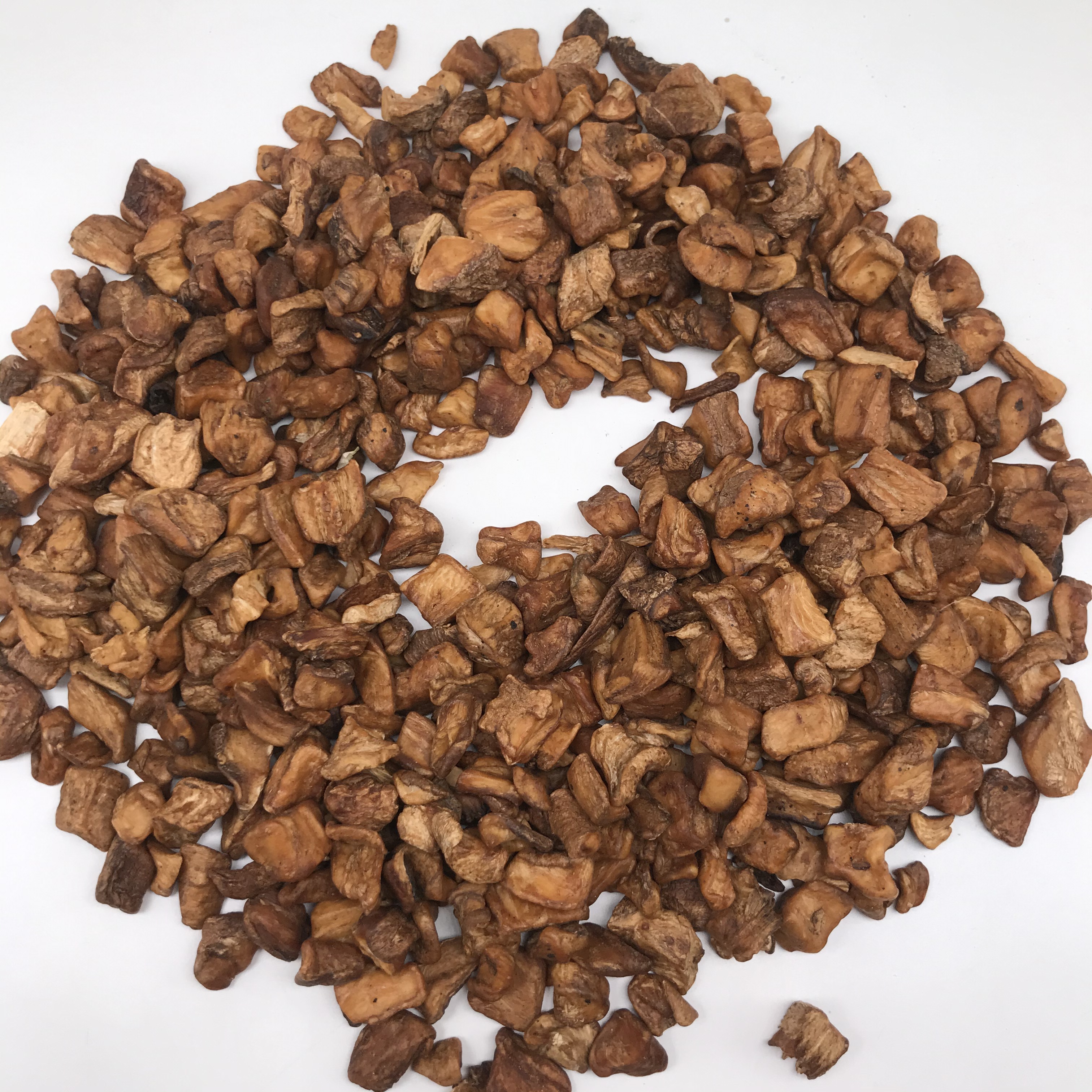L002 chicory root (9).JPG