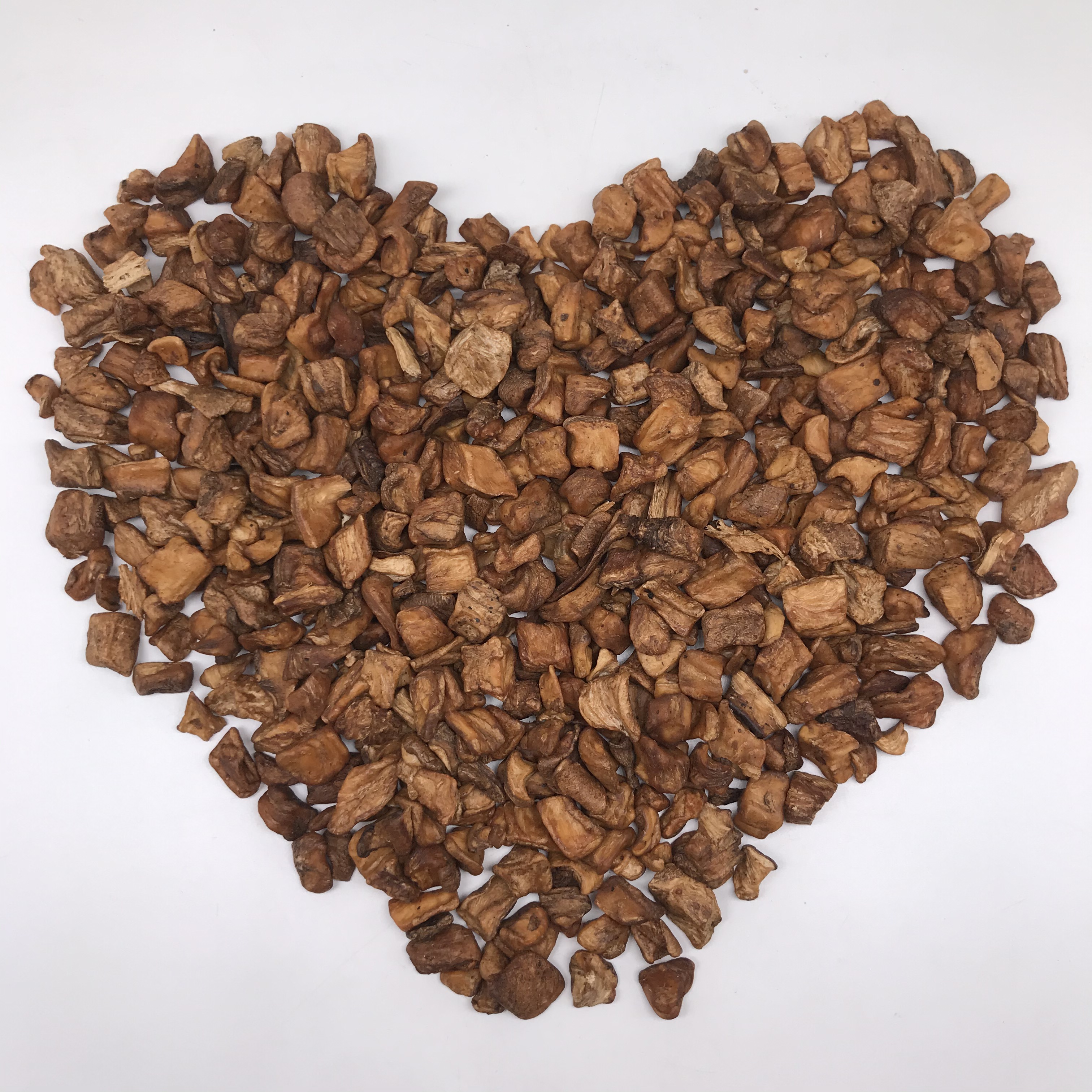 L002 chicory root (10).JPG