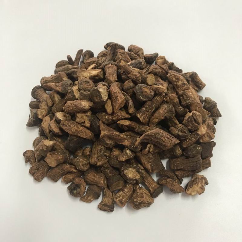 1002 Dandelion root (1).jpg