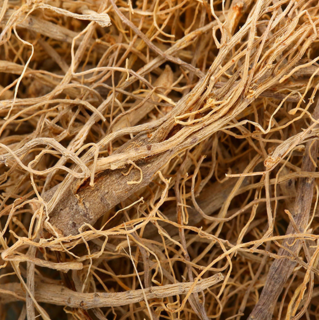 1009 Notoginseng tail (4).jpg