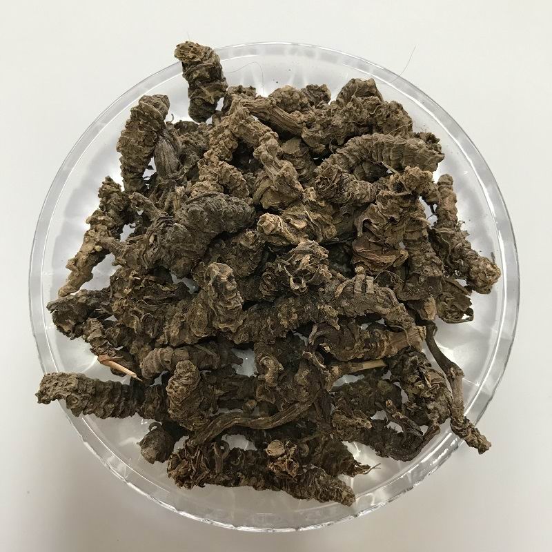 1019 Valerian root (3).jpg