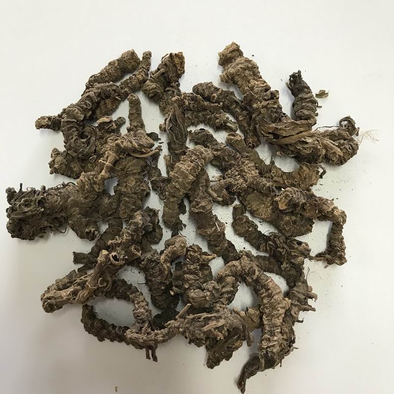 1019 Valerian root (1).jpg