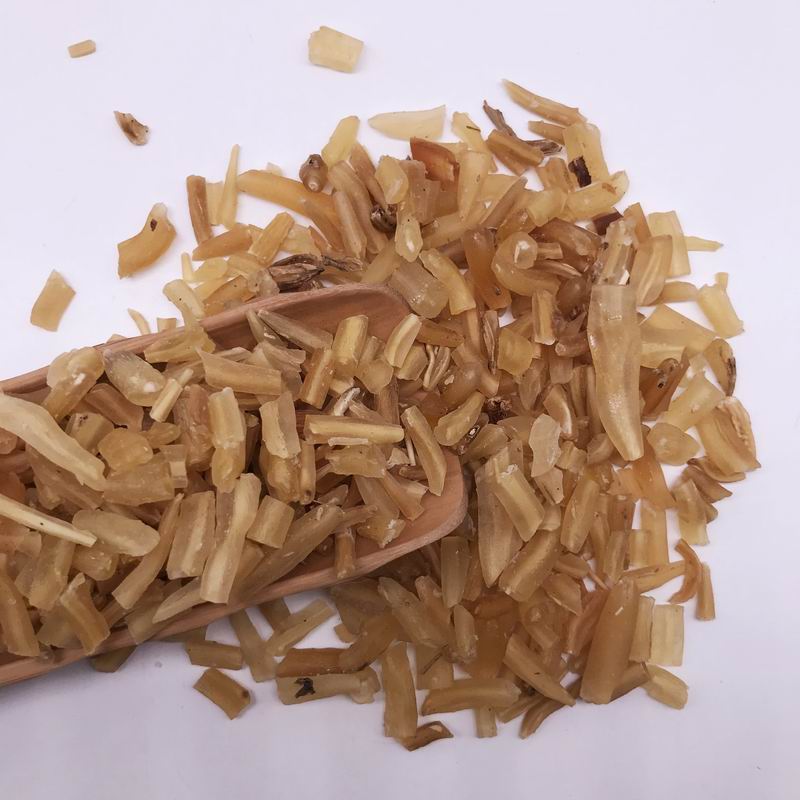 1030 radix asparagi (5).jpg 1030 radix asparagi (5).jpg