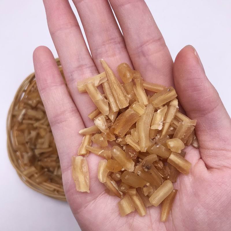 1030 radix asparagi (1).jpg 1030 radix asparagi (1).jpg