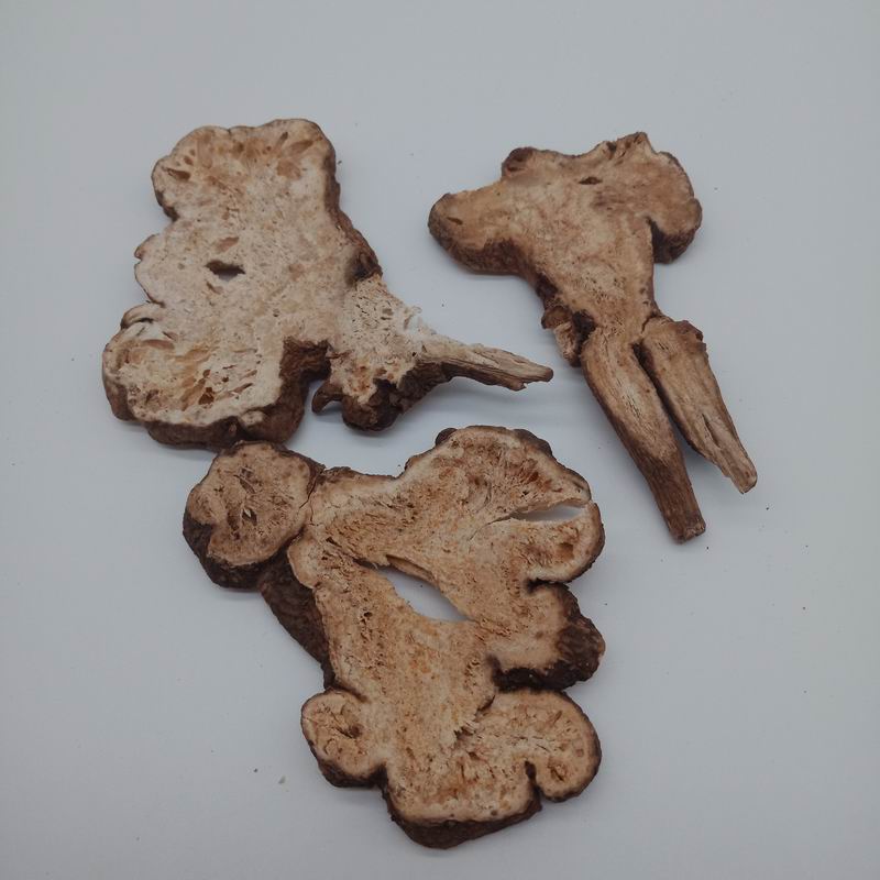 1032 bighead atractylodes rhizome (4).jpg 1032 bighead atractylodes rhizome (4).jpg