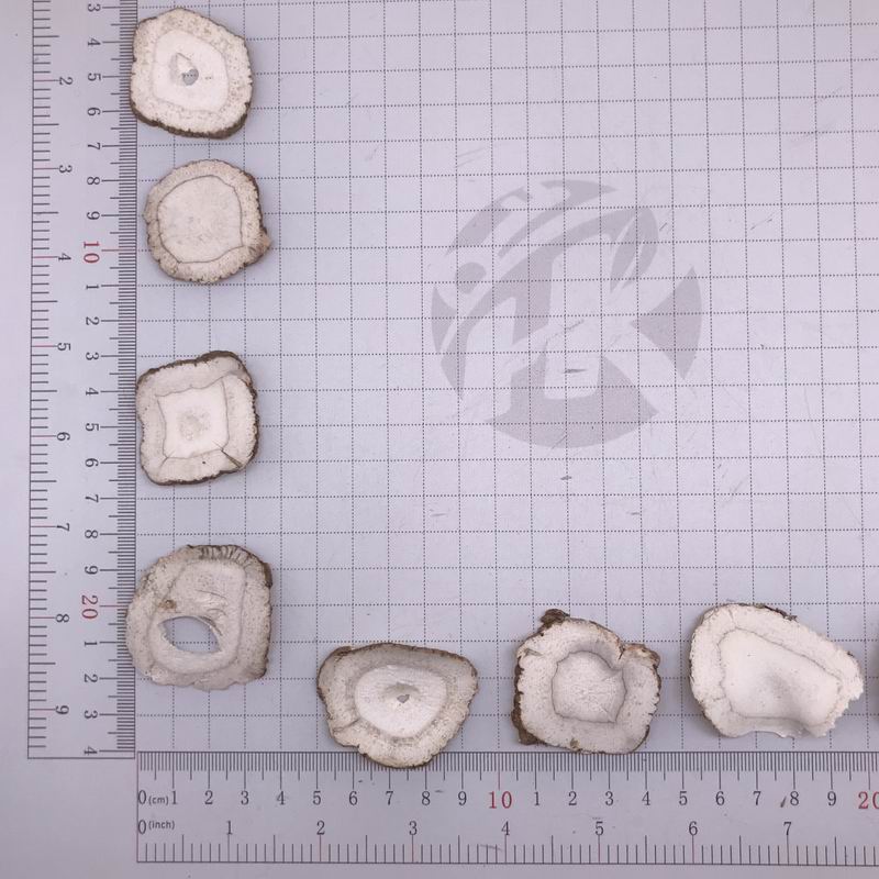 1034 Radix Angelicae  (8).JPG