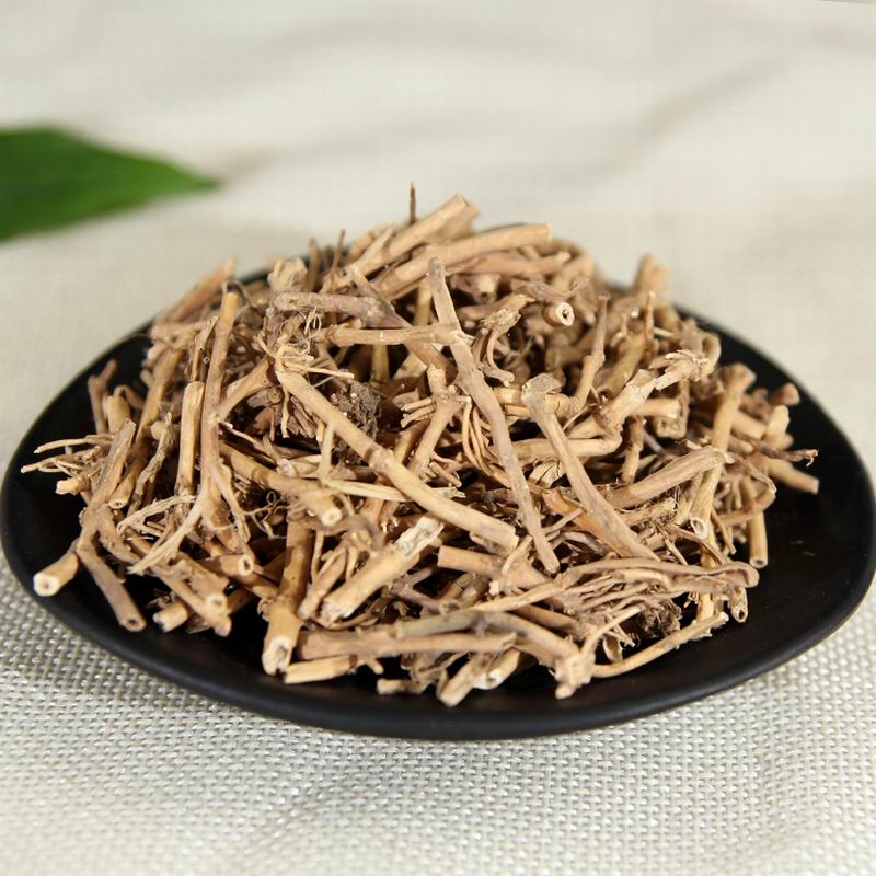 1035 White Swallowwort (8).jpg 1035 White Swallowwort (8).jpg