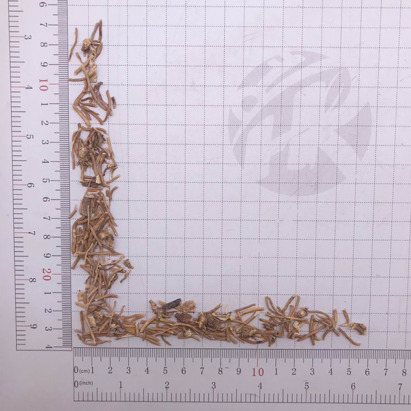 1036 (8).jpg 1036 (8).jpg