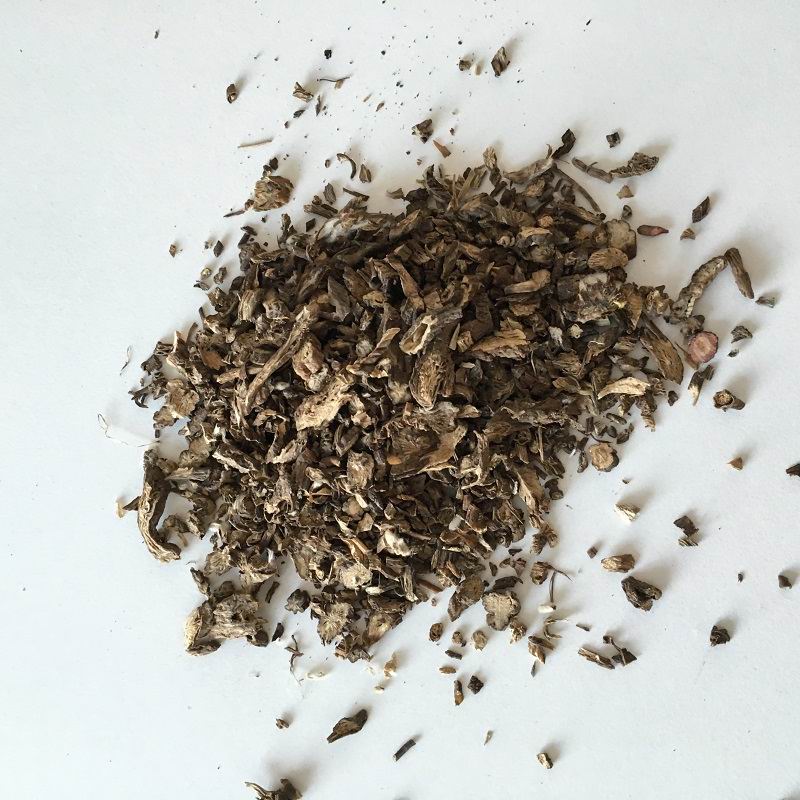 1039 radix pulsatillae (6).JPG