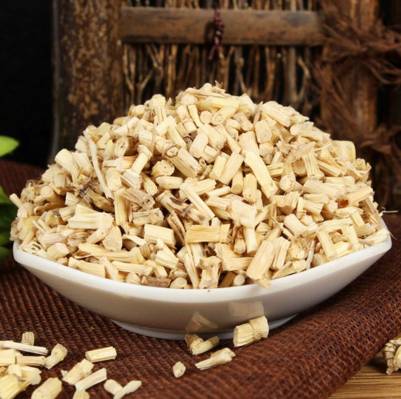 1040 Cogongrass Rhizome (1).jpg 1040 Cogongrass Rhizome (1).jpg