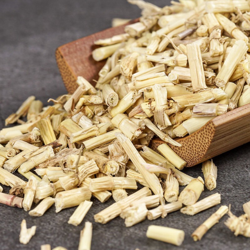 1040 Cogongrass Rhizome (3).jpg 1040 Cogongrass Rhizome (3).jpg