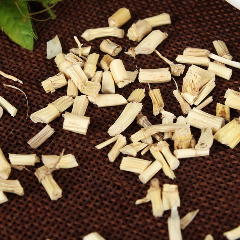 1040 Cogongrass Rhizome (2).jpg 1040 Cogongrass Rhizome (2).jpg