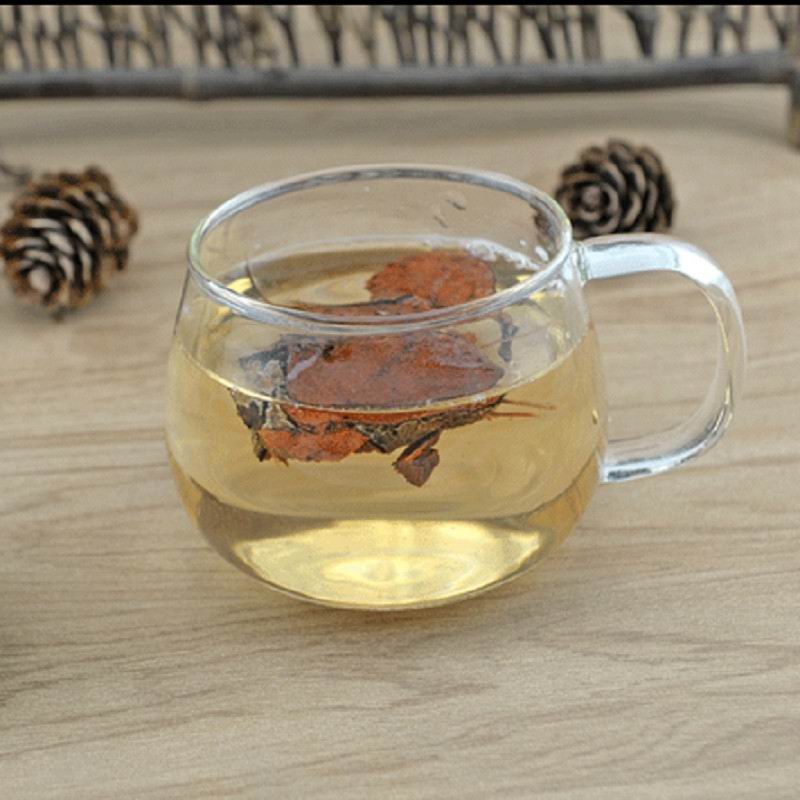 1046 smilax (7).jpg 1046 smilax (7).jpg