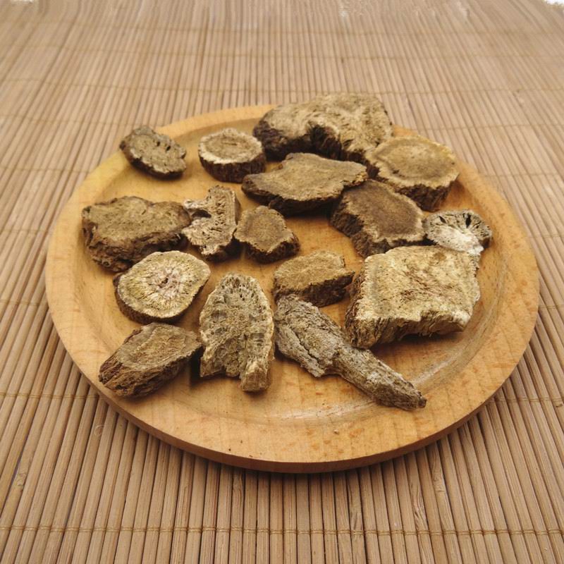 Aplotaxis auriculata (7).jpg Aplotaxis auriculata (7).jpg