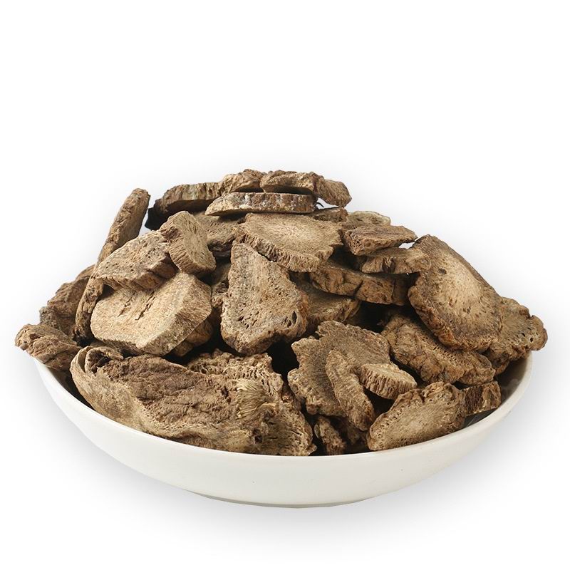 Aplotaxis auriculata (7).jpg Aplotaxis auriculata (7).jpg