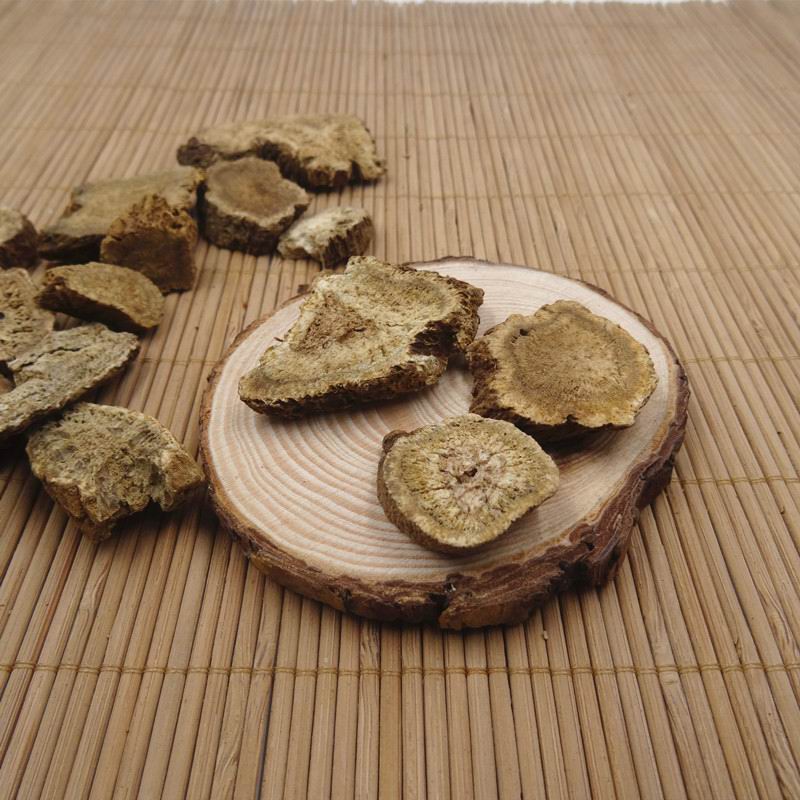 Aplotaxis auriculata (2).jpg Aplotaxis auriculata (2).jpg