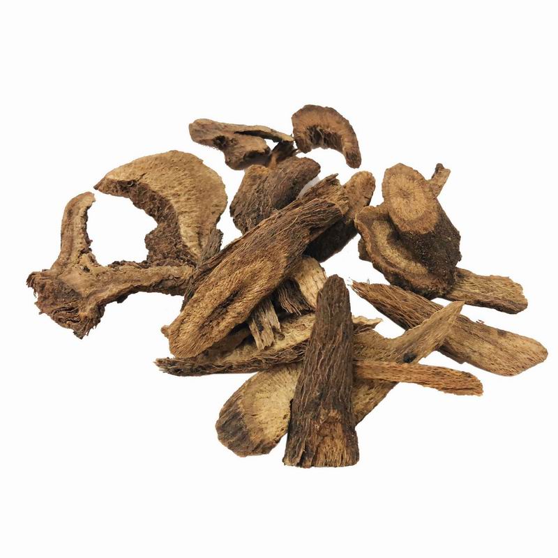 1054 Radix Vladimiriae (2).jpg 1054 Radix Vladimiriae (2).jpg