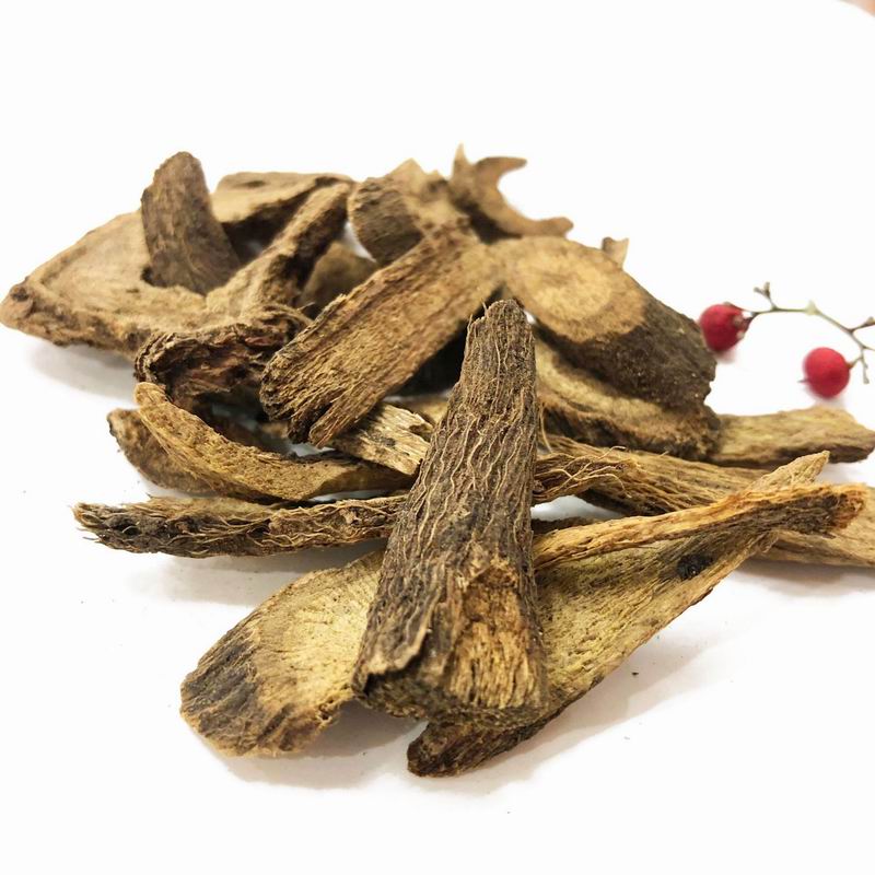 1054 Radix Vladimiriae (1).jpg 1054 Radix Vladimiriae (1).jpg