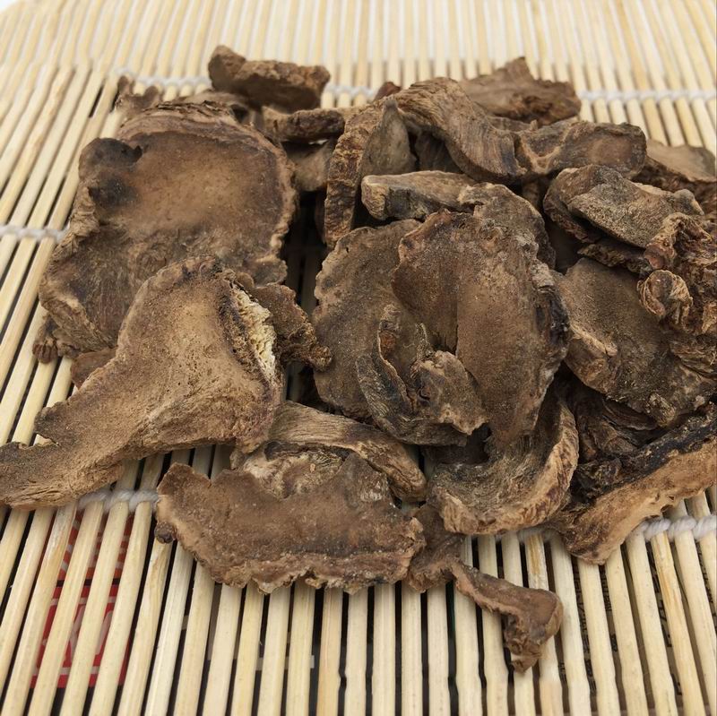 1055 Elecampane (3).jpg 1055 Elecampane (3).jpg