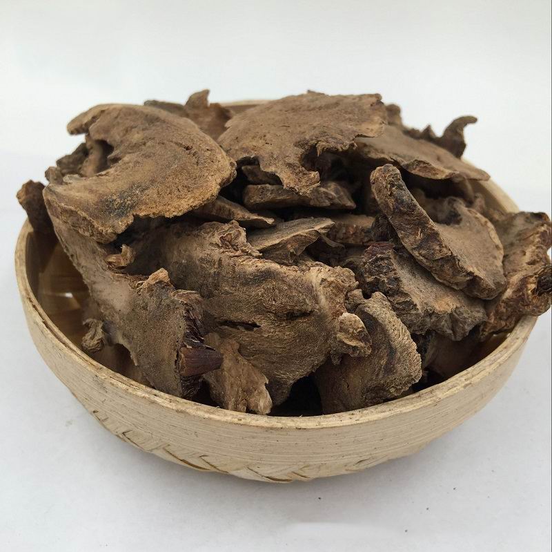 1055 Elecampane (5).jpg 1055 Elecampane (5).jpg