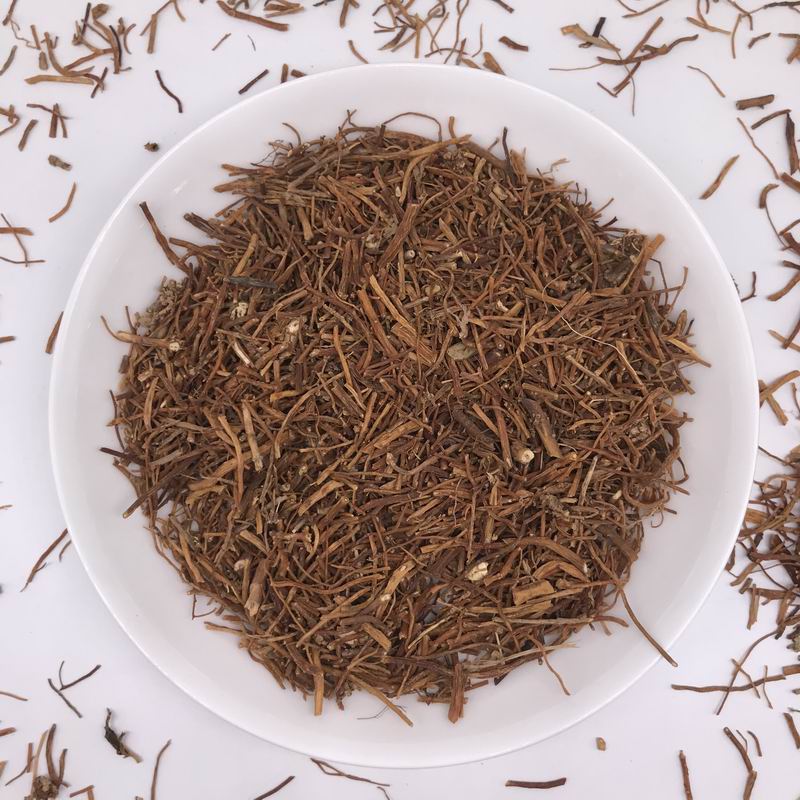 1063 Gentiana scabra bge (6).JPG