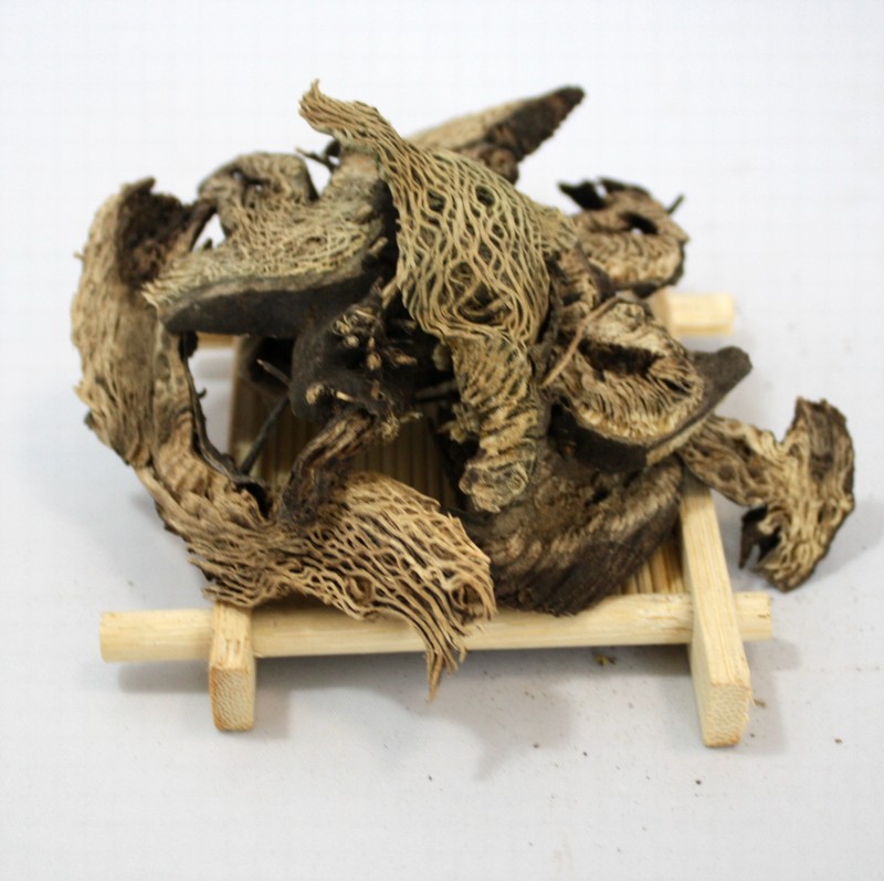 1076 (5).jpg 1076 (5).jpg