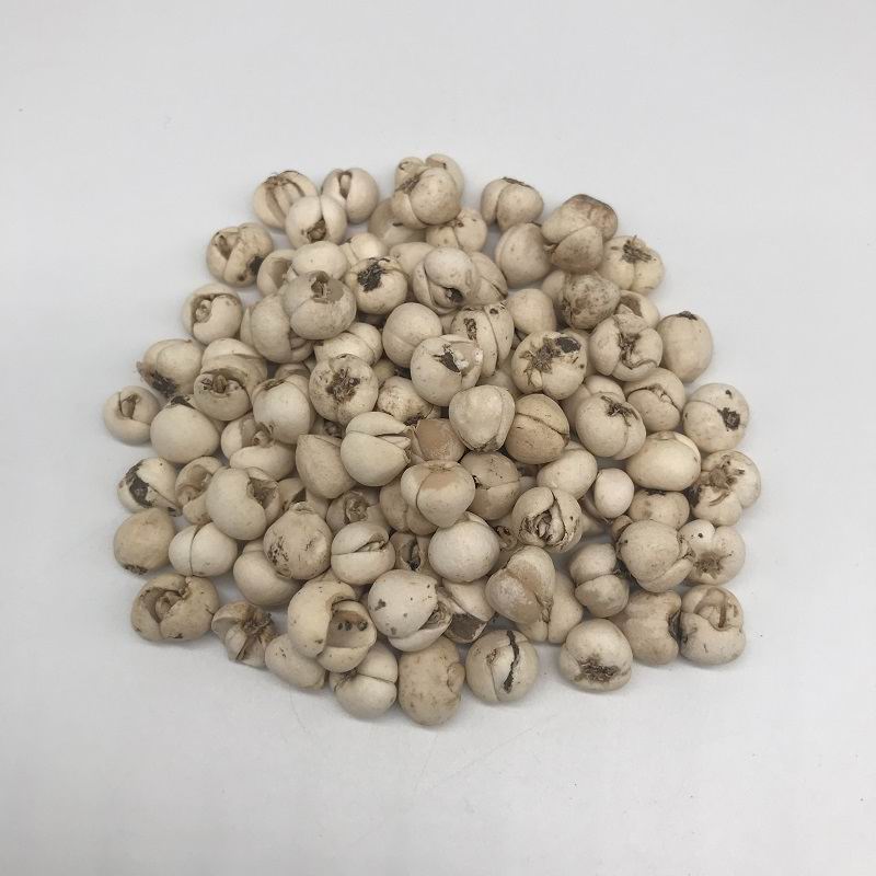 1087 fritillary bulb (3).jpg 1087 fritillary bulb (3).jpg