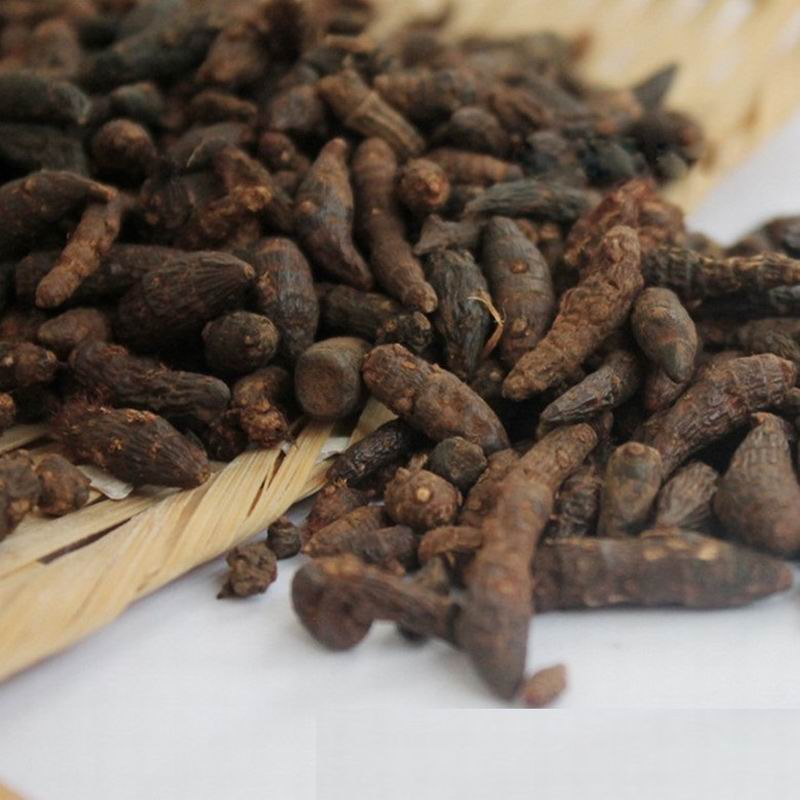 1089 radix aconiti carmichaeli (8).jpg 1089 radix aconiti carmichaeli (8).jpg