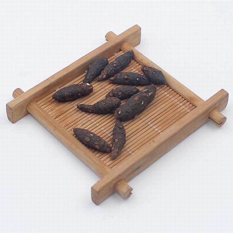 1089 radix aconiti carmichaeli (9).jpg 1089 radix aconiti carmichaeli (9).jpg