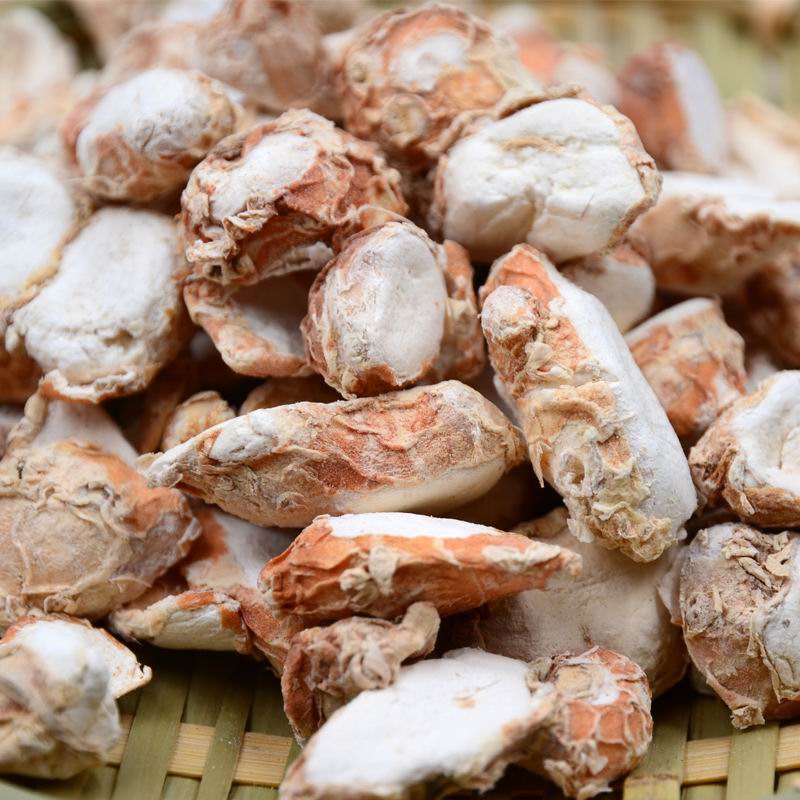 1093 Rhizoma Kaempferiae (2).jpg 1093 Rhizoma Kaempferiae (2).jpg