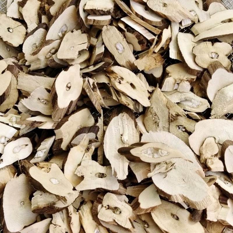 1100 Perilla root (44).jpg 1100 Perilla root (44).jpg