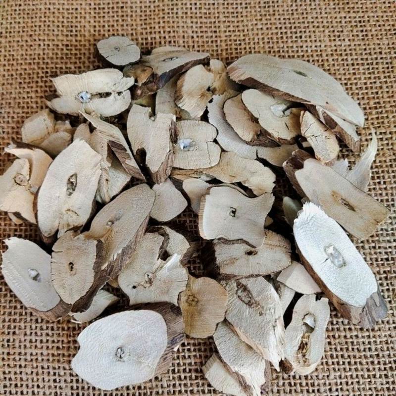 1100 Perilla root (43).jpg 1100 Perilla root (43).jpg
